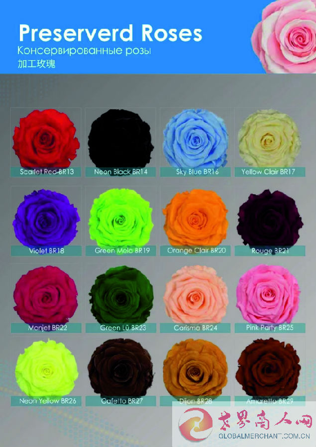 webwxgetmsgimg (24).jpg